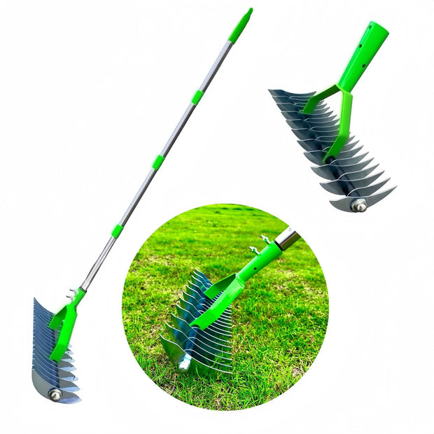 Lawn Hay Rake Garden Deciduous