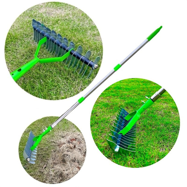 Lawn Hay Rake Garden Deciduous