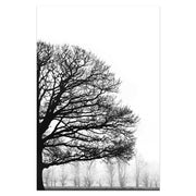 Black And White Winter Trees Wall Decorative Painting