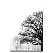 Black And White Winter Trees Wall Decorative Painting